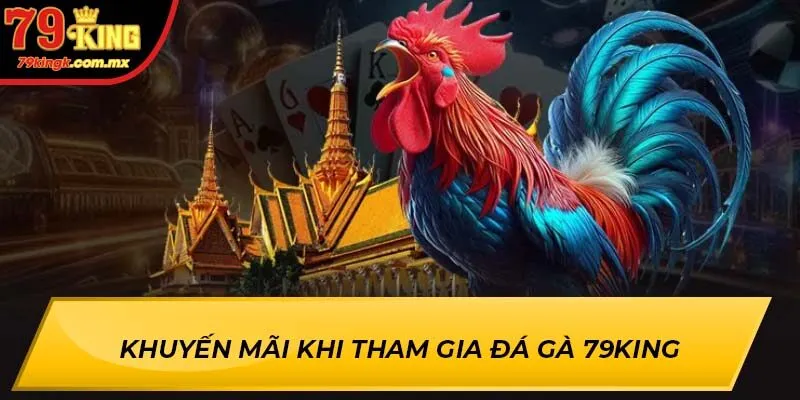 Khuyến mãi khi tham gia Đá Gà 79KING